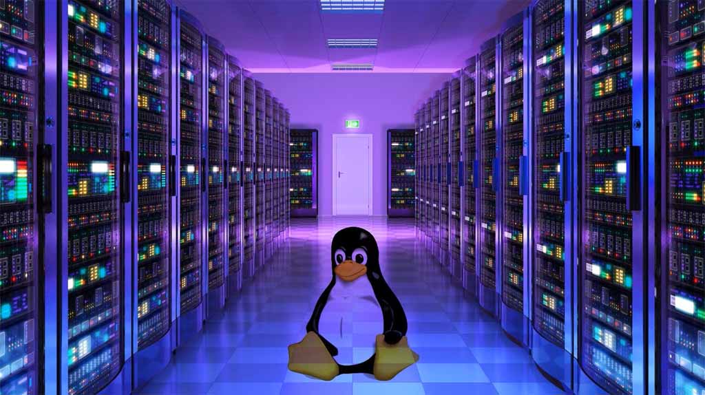 Why Linux Is Often Used on Servers: A Complete Guide