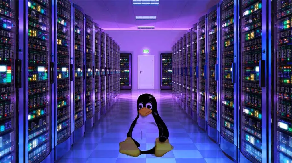 Why Linux Is Often Used on Servers: A Complete Guide